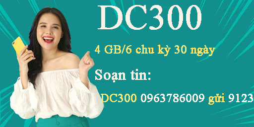 DC300
